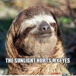 The sunlight hurts my eyes sloth gif